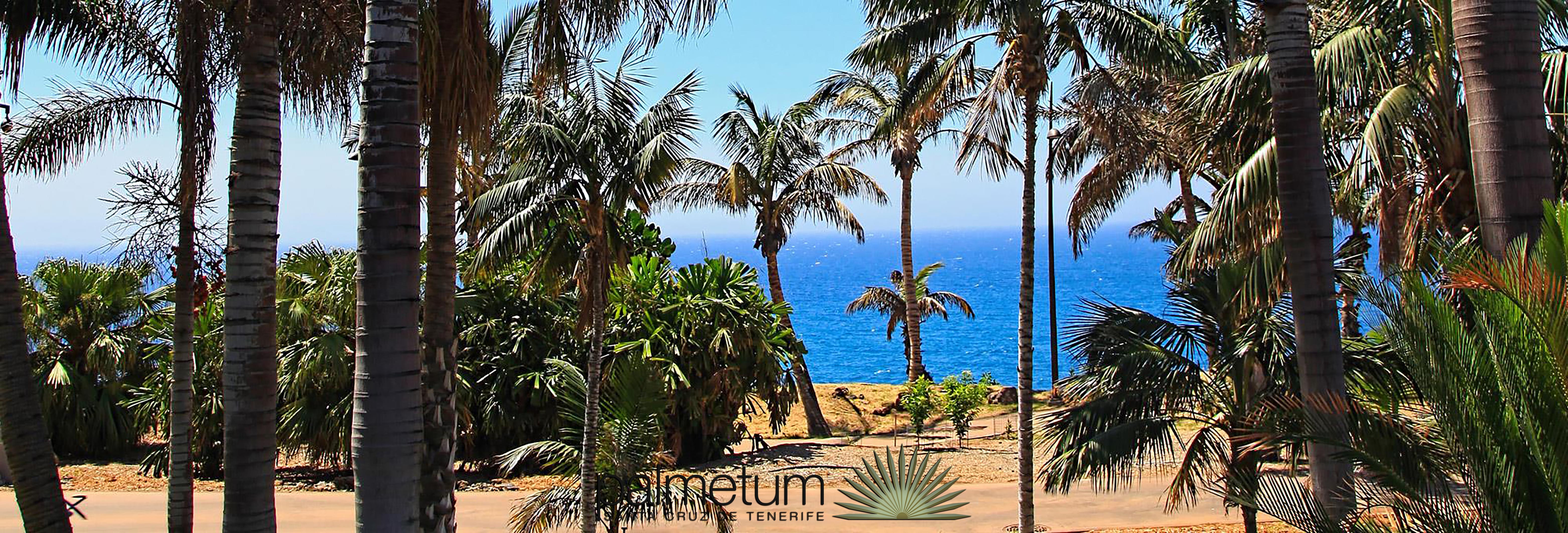 Hotel Adonis Plaza Santa Cruz de Tenerife Buitenkant foto