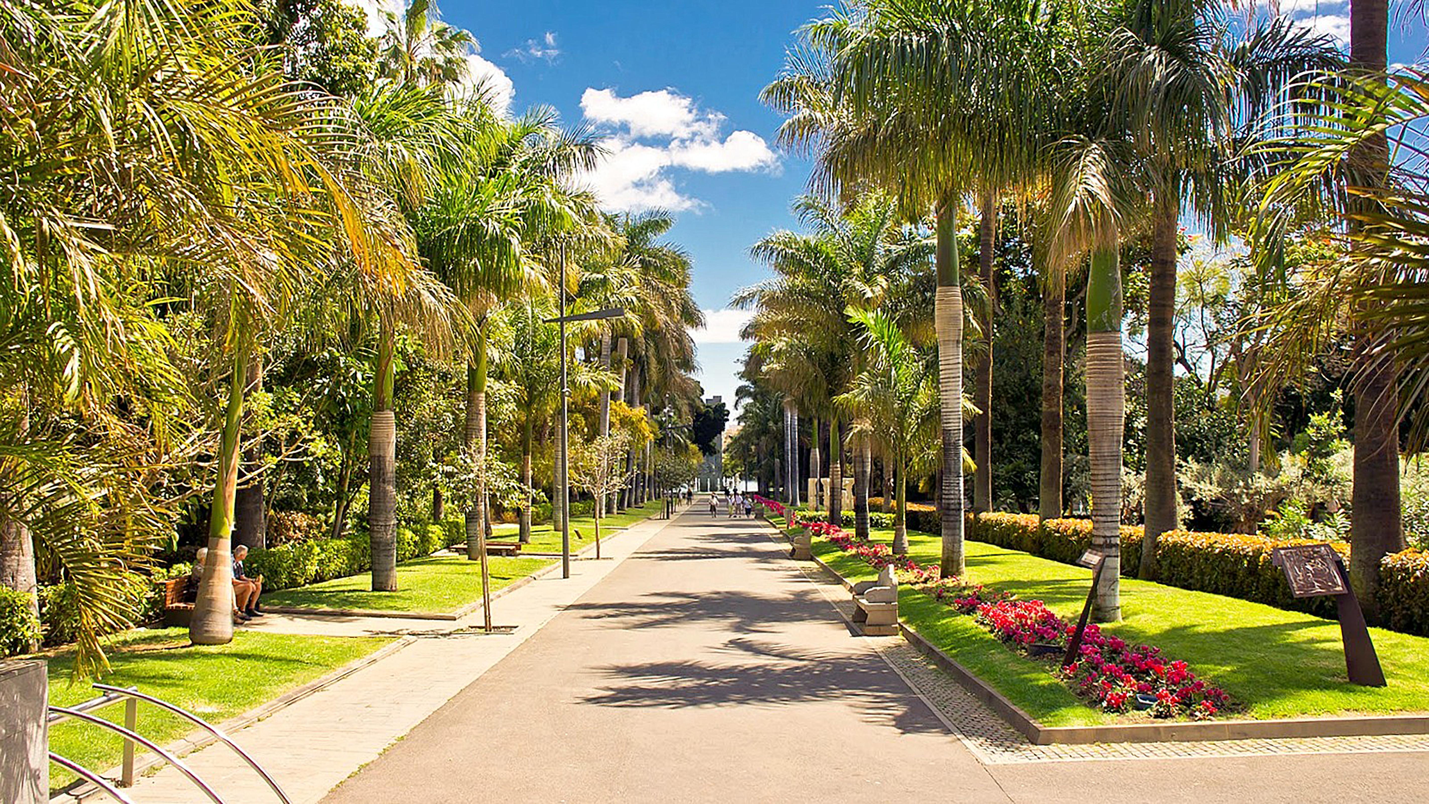 Hotel Adonis Plaza Santa Cruz de Tenerife Buitenkant foto